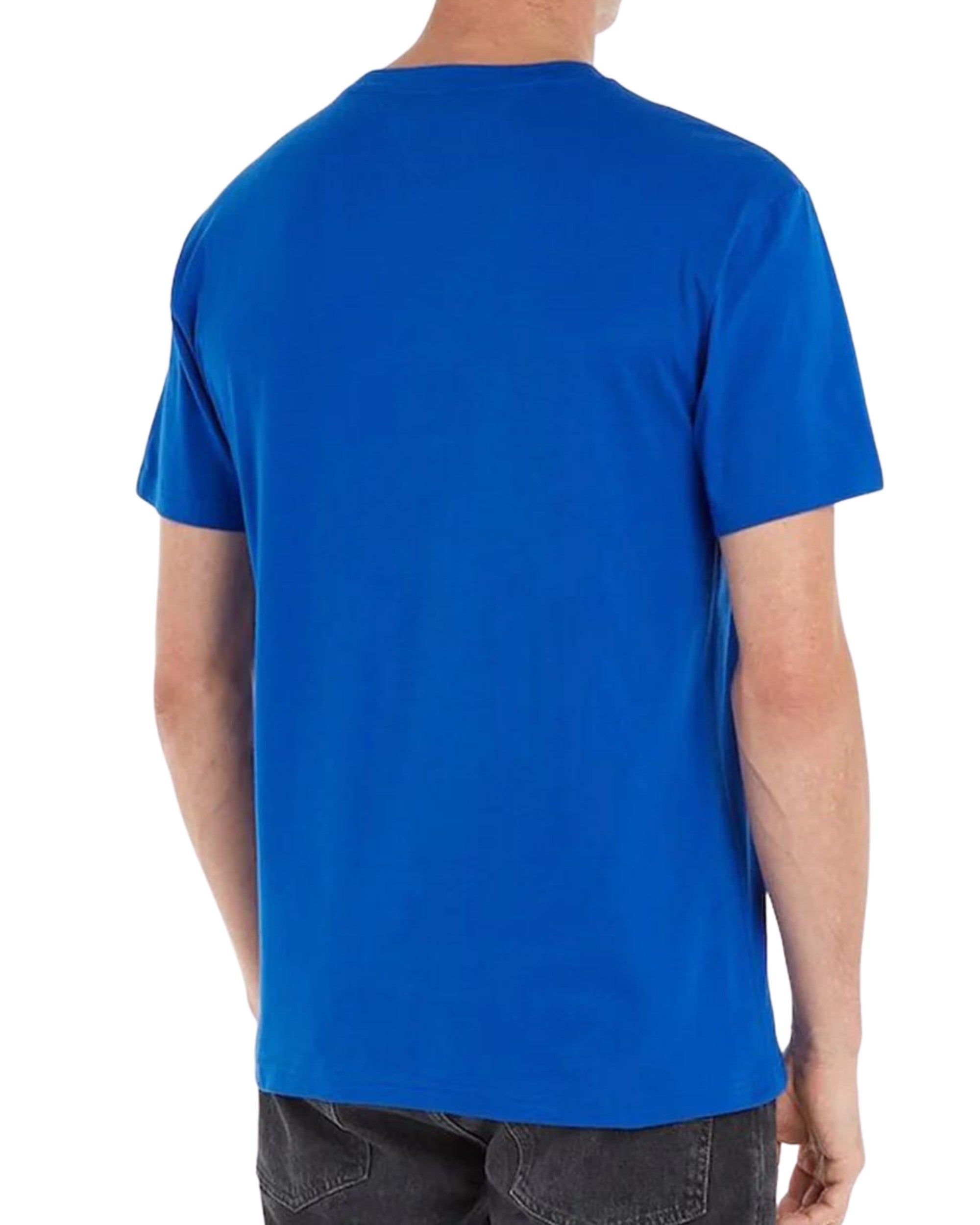 Tommy Jeans T-Shirt TJM Classic Linear Cotone Blu