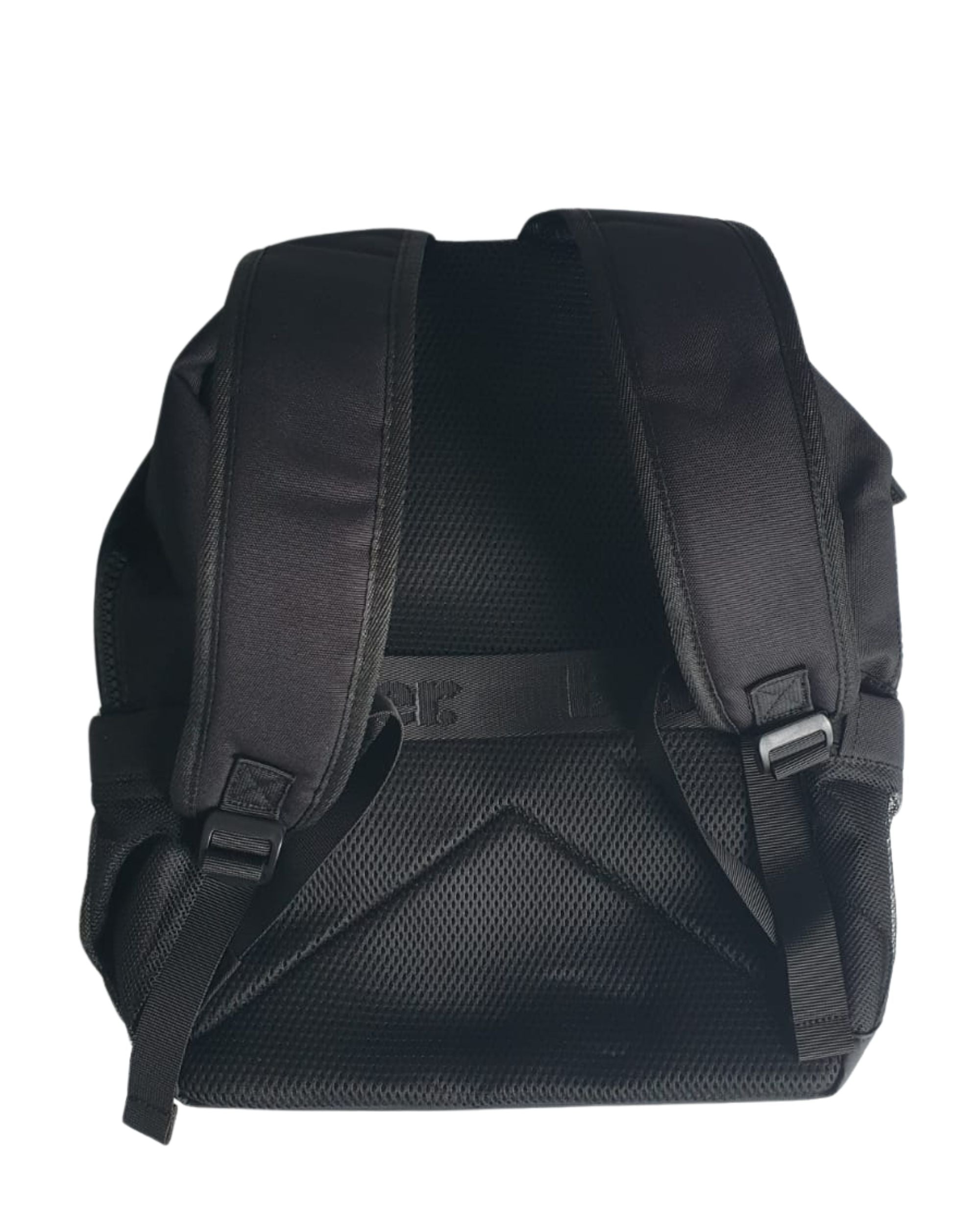 Blauer Black Synthetic Backpack