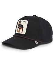 Goorin Bros. Trucker Cap Canvas Drop 'alpha' Black Unisex