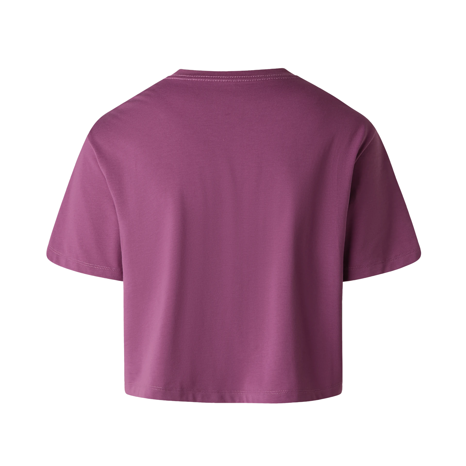 The North Face T-Shirt Donna Evolution Simple Dome Cropped Misto Cotone Viola