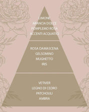 L'amande Ambient Diffuser