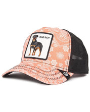 Goorin Bros. Trucker Cap Animal Farm 'bad Boy' Special Black Unisex