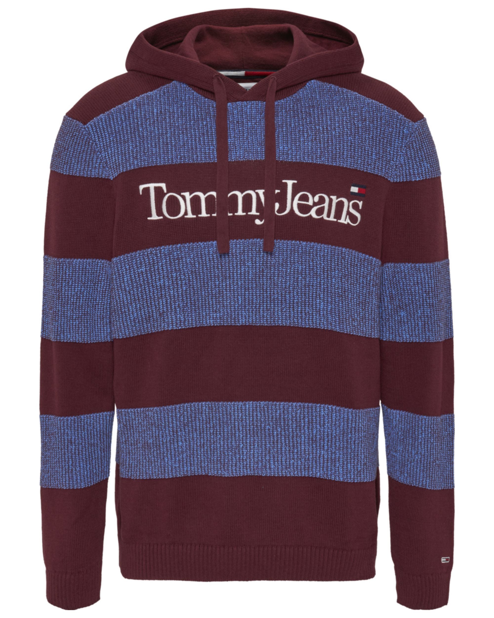 Tommy Jeans Felpa con Cappuccio Logo Skater Bio Cotone Viola