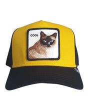 Goorin Bros. Trucker Cap Animal Farm 'the Cool Cat' Gold Unisex Cap