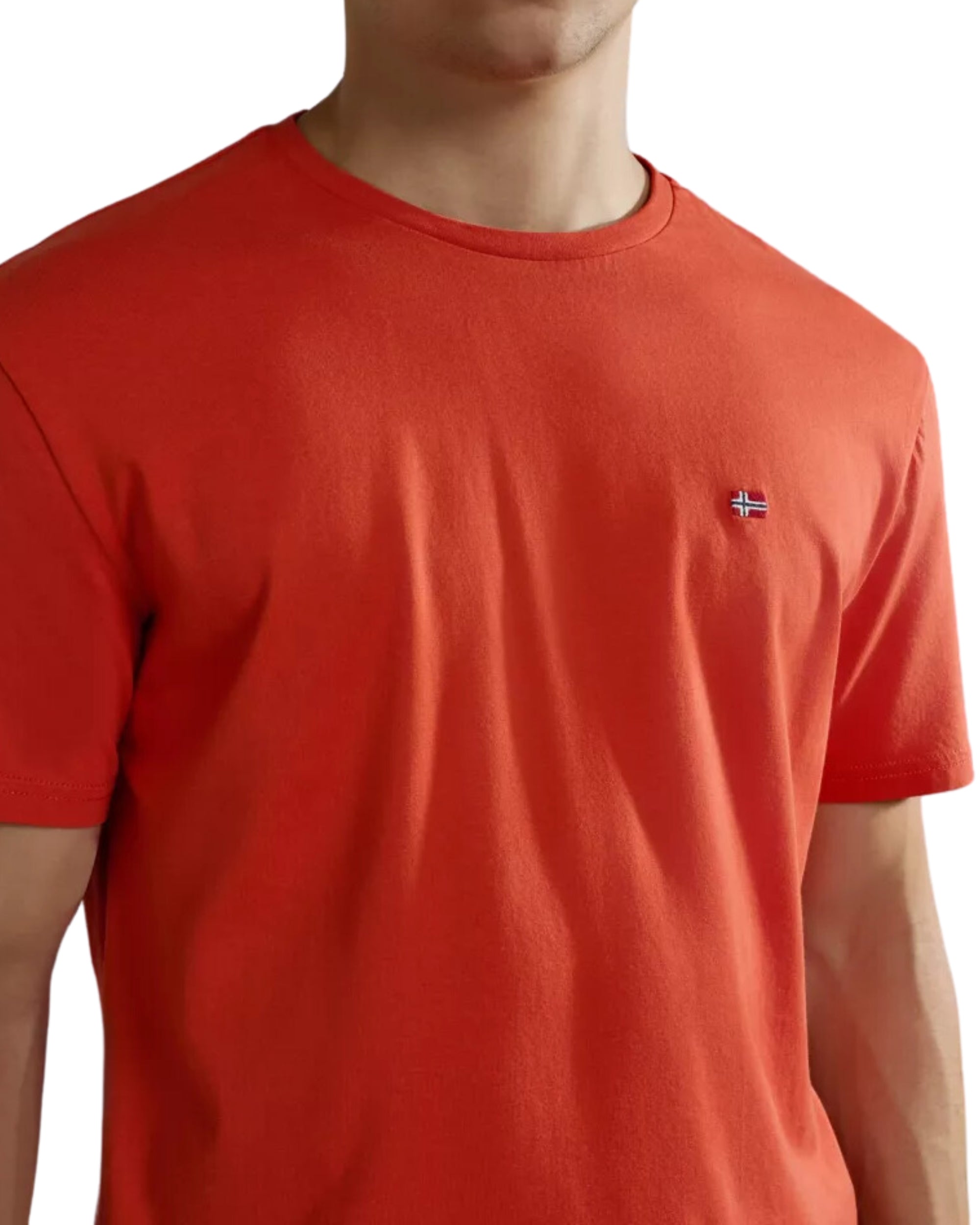 Napapijri Salis Short Sleeve Cotton T-shirt Red