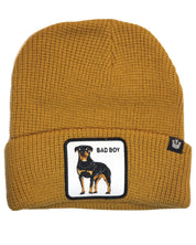 Goorin Bros. Beanie Hat Cap With Front Patch And Logo On Side Beige Unisex