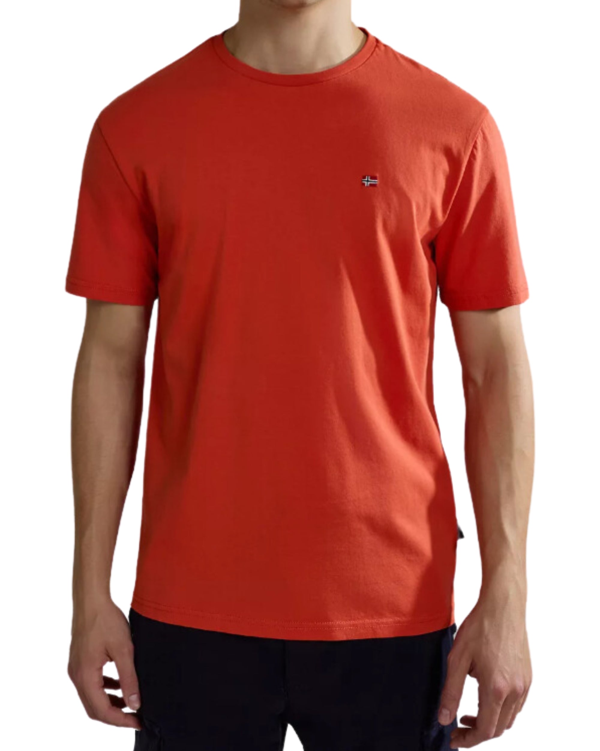 Napapijri Salis Short Sleeve Cotton T-shirt Red